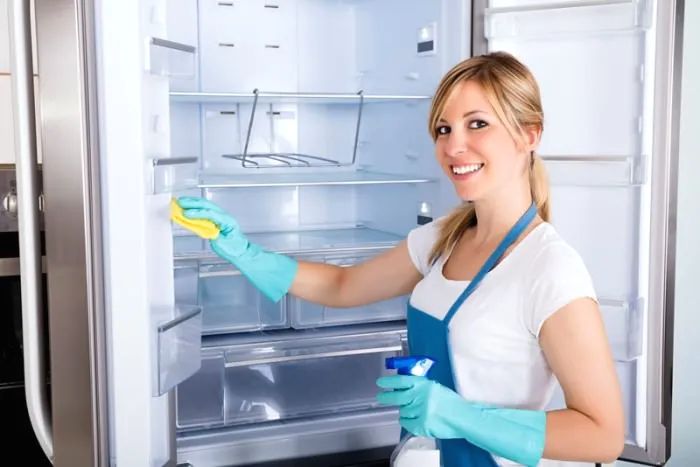 Как мыть холодильник с No Frost