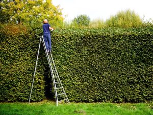 Японська садова драбина своїми руками: креслення та виготовлення